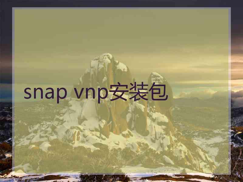 snap vnp安装包